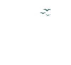 triund trek.com